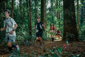 BIB: 
                            <button type="button" onclick="openModal(26131822)" class="btn btn-primary btn-sm float-right btn-popup" data-toggle="modal" data-target=".modal-high-quality">
                        <i class="fas fa-shopping-cart"></i> Add to Cart
                    </button>
                                            <button type="button" onclick="isThisMe(26131822, true)" class="btn btn-success btn-sm float-right btn-popup btn-isme hidden" data-toggle="tooltip" data-placement="bottom" title="นี่คือรูปของคุณใช่ไหม คลิกที่นี่เพื่อเอาเข้าอัลบั้ม">
                        <i class="fas fa-plus"></i> Add to album
                    </button>
                    <button type="button" onclick="isThisMe(26131822, false)" class="btn btn-warning btn-sm float-right btn-popup btn-isnotme hidden">
                        <i class="fas fa-ban"></i> Remove from album
                    </button>